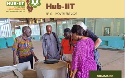 Lettre du réseau des Hub-IIT – novembre 2023